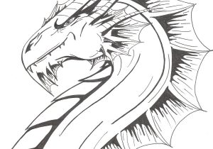 300x210 Dragon Face Drawing Dragon Faceliquiddragonn - Dragon Face Drawing