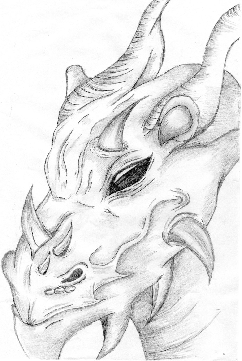 1024x1527 Drawing Of Dragon Head - Dragon Face Drawing