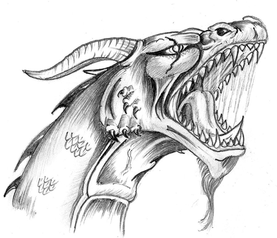 900x775 Drawn Dragon Face - Dragon Face Drawing