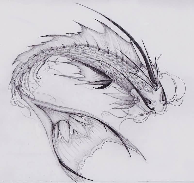 Dragon Fish Drawing at Explore collection of