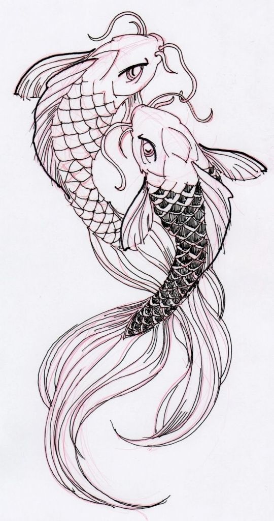 540x1024 Koi Fish Drawings Top Koi Dragon Drawing Images - Dragon Fish Drawing