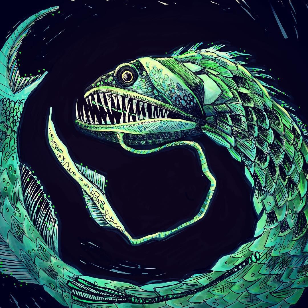1080x1080 Kristy Tipton On Instagram Fish Love Those Scary Teeth - Dragon Fish Drawing