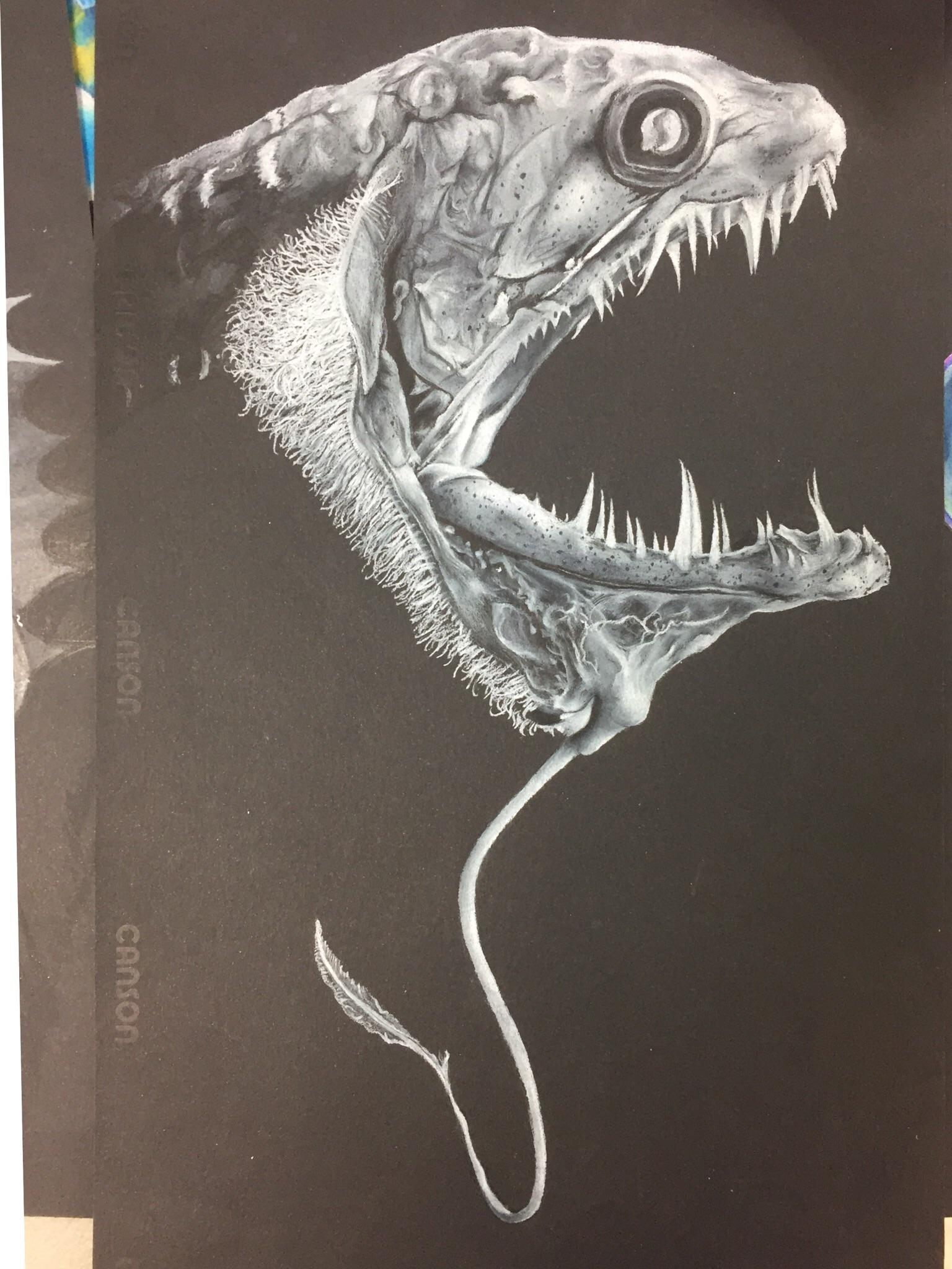 1536x2048 My Dragon Fish, Done In Prismacolor Pencils Drawing - Dragon Fish Drawing