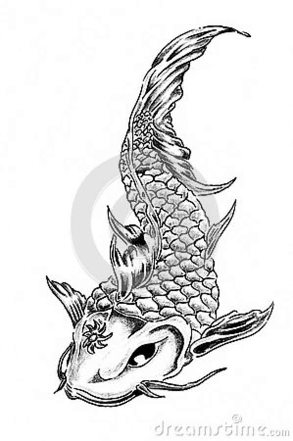 598x900 Dragon Tattoos For Women - Dragon Fish Drawing