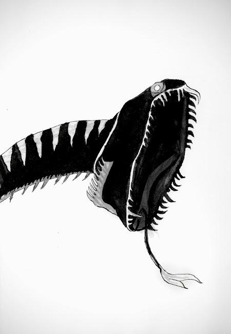 450x651 Black Dragonfish Drawing - Dragon Fish Drawing
