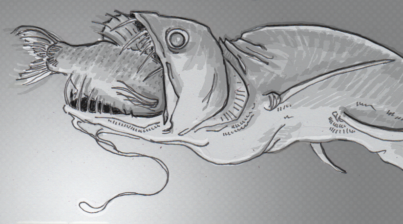 825x459 Deep Sea Dragonfish Swapped Some Spine For More Flexibility - Dragon Fish Drawing
