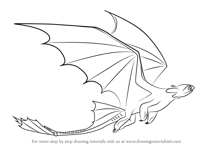 800x566 Learn How To Draw Toothless Flying From How To Train Your Dragon - Dragon Flying Drawing
