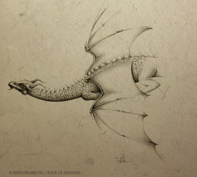 648x581 Taming The Dragon Drawing Process - Dragon Flying Drawing