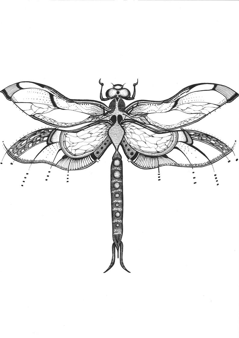 794x1123 Hand Draw Tattoo Style Ink Dragonfly Print Dragon Fly Etsy - Dragon Hand Drawing