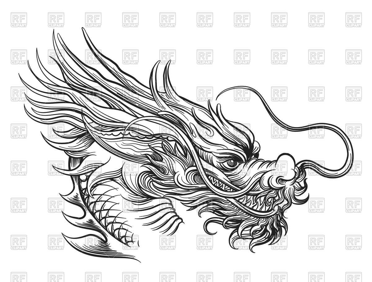 1200x912 Hand Drawn Shinese Dragon Vector Image Of Plants And Animals - Dragon Hand Drawing