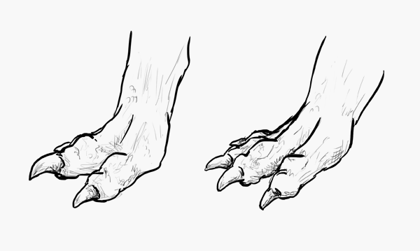 600x359 rawr! how to draw an anatomically correct dragon - Dragon Hand Drawing