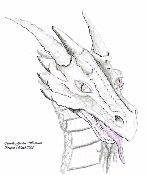 501x594 Hand Drawn Dragon Head - Dragon Hand Drawing