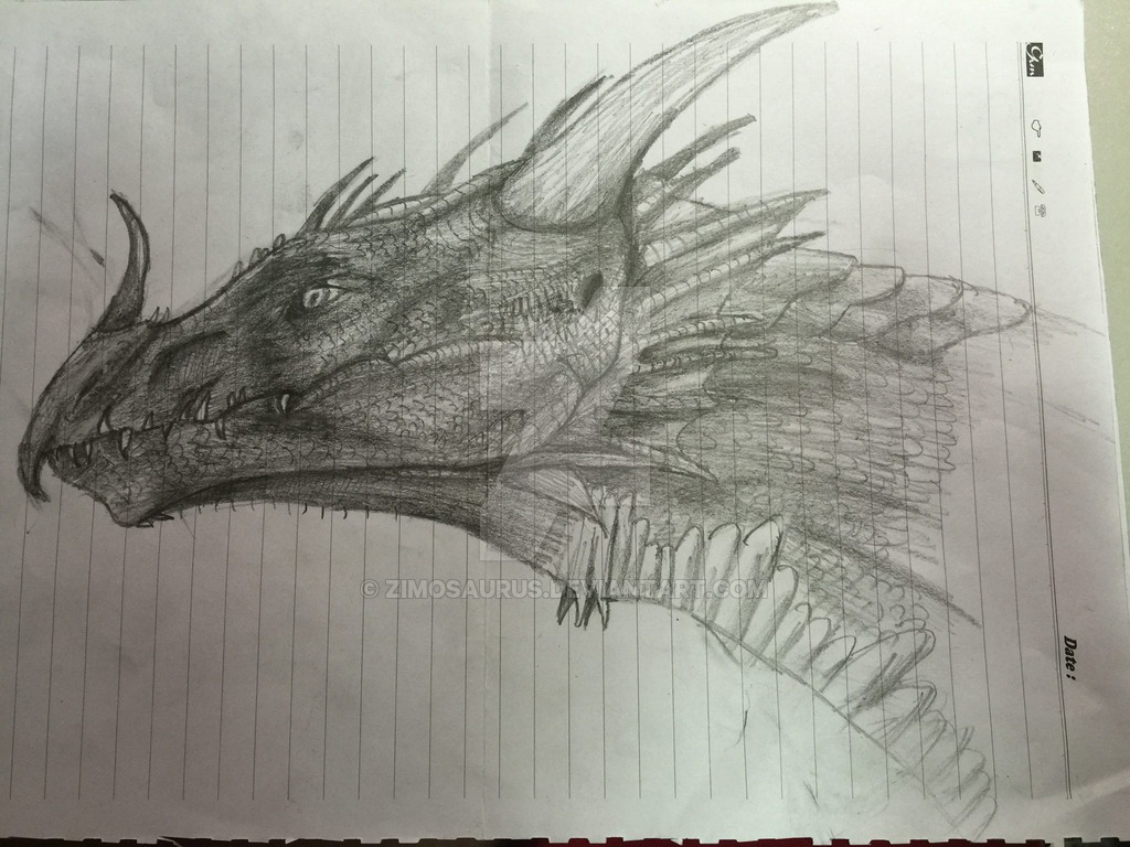 1024x768 Dragon Head Drawing - Dragon Head Drawing
