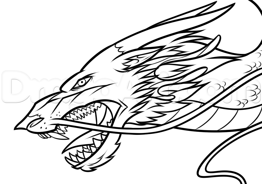 Dragon Head Drawing At Paintingvalley Com Explore Collection Of