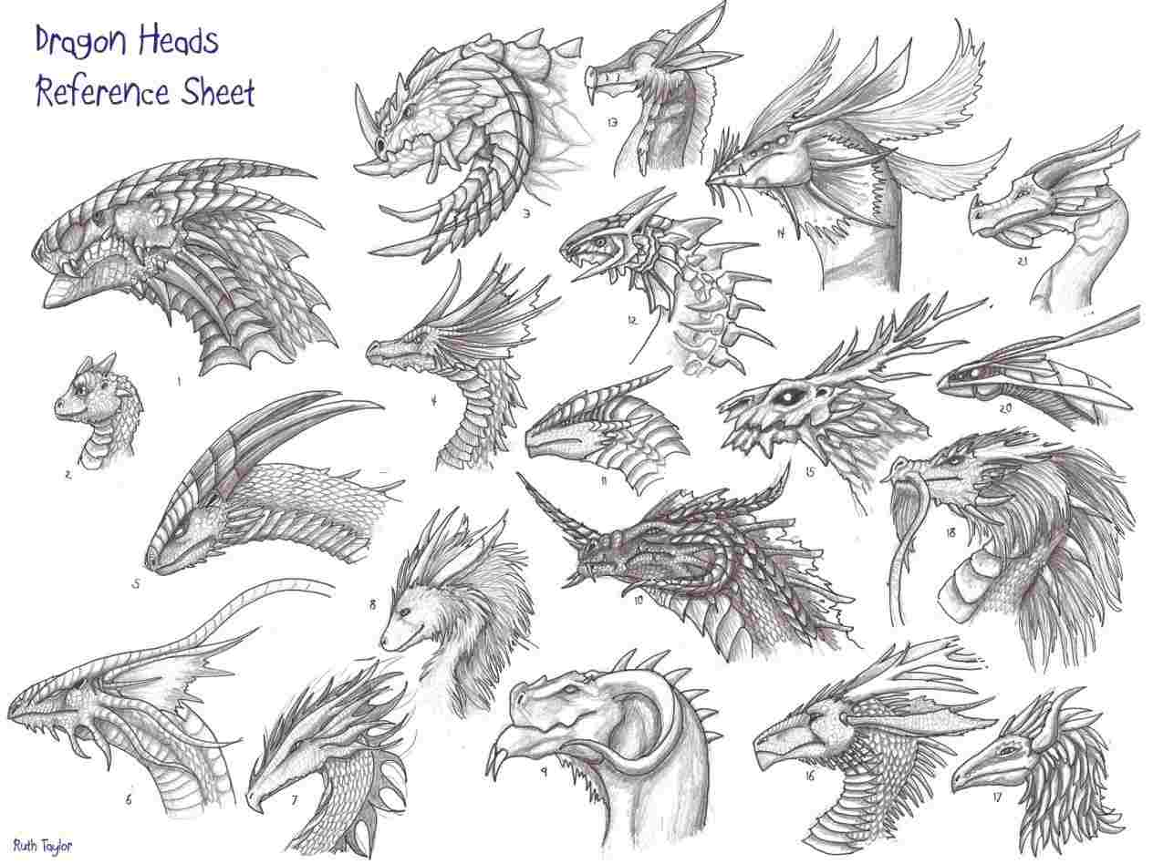 1264x948 Step At Getdrawingscom Free For Rhgetdrawingscom Dragon Dragon - Dragon Head Drawing
