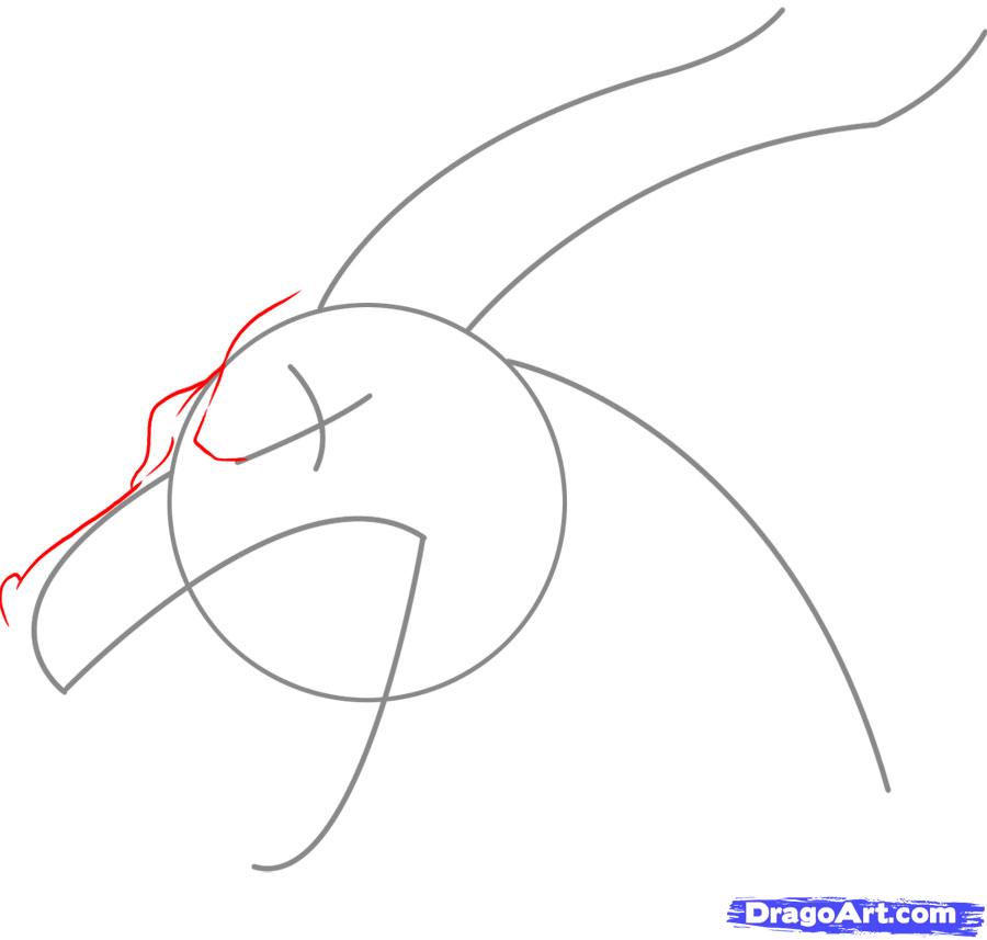 900x857 How To Draw A Dragon Head, Step - Dragon Head Drawing Step By Step