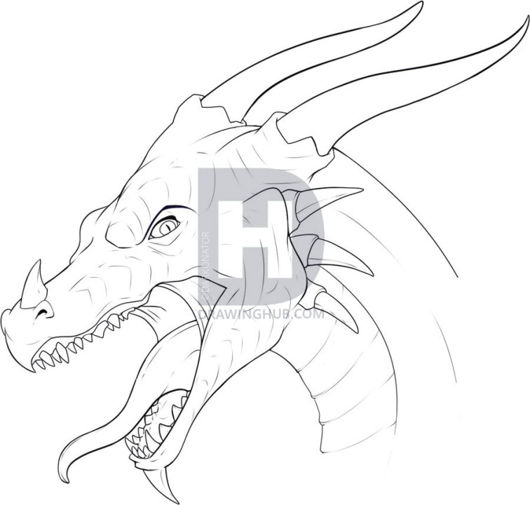 756x720 How To Draw A Dragon Head, Step - Dragon Head Drawing Step By Step