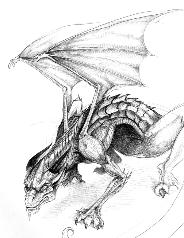 600x779 Dragon Ink Drawing, Wolf Island - Dragon Ink Drawing