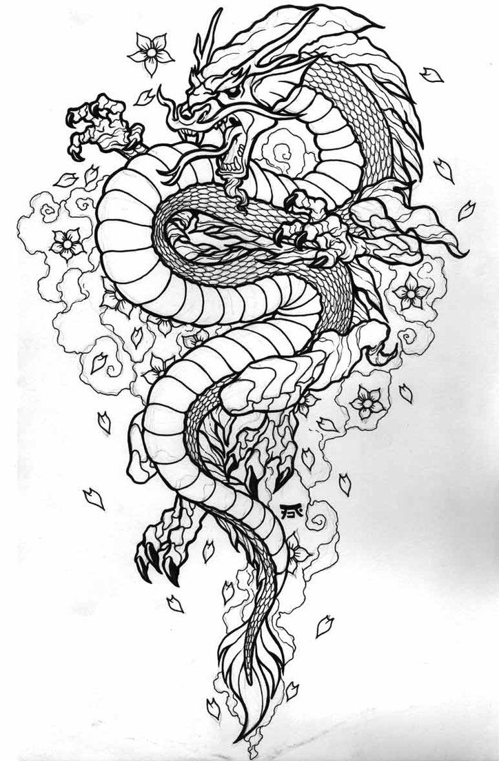 724x1104 Dragon Tattoo - Dragon Ink Drawing