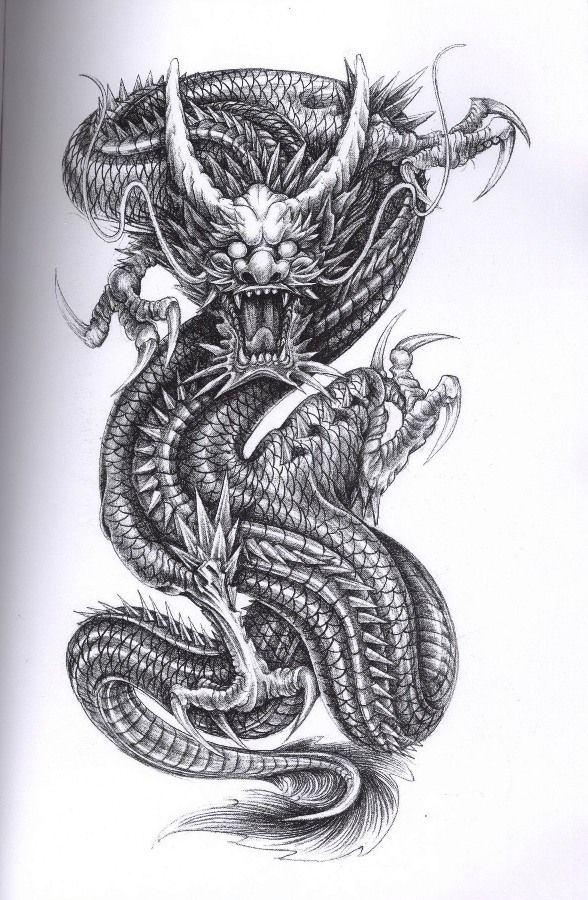 588x900 Dragon Tattoo For Some Remembers - Dragon Ink Drawing
