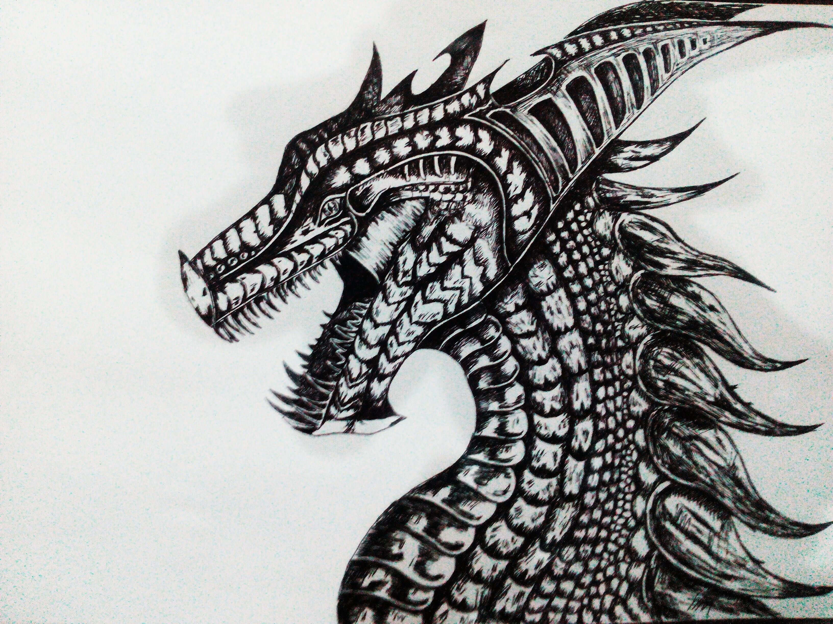 3264x2448 Dragon For Tattoo - Dragon Ink Drawing