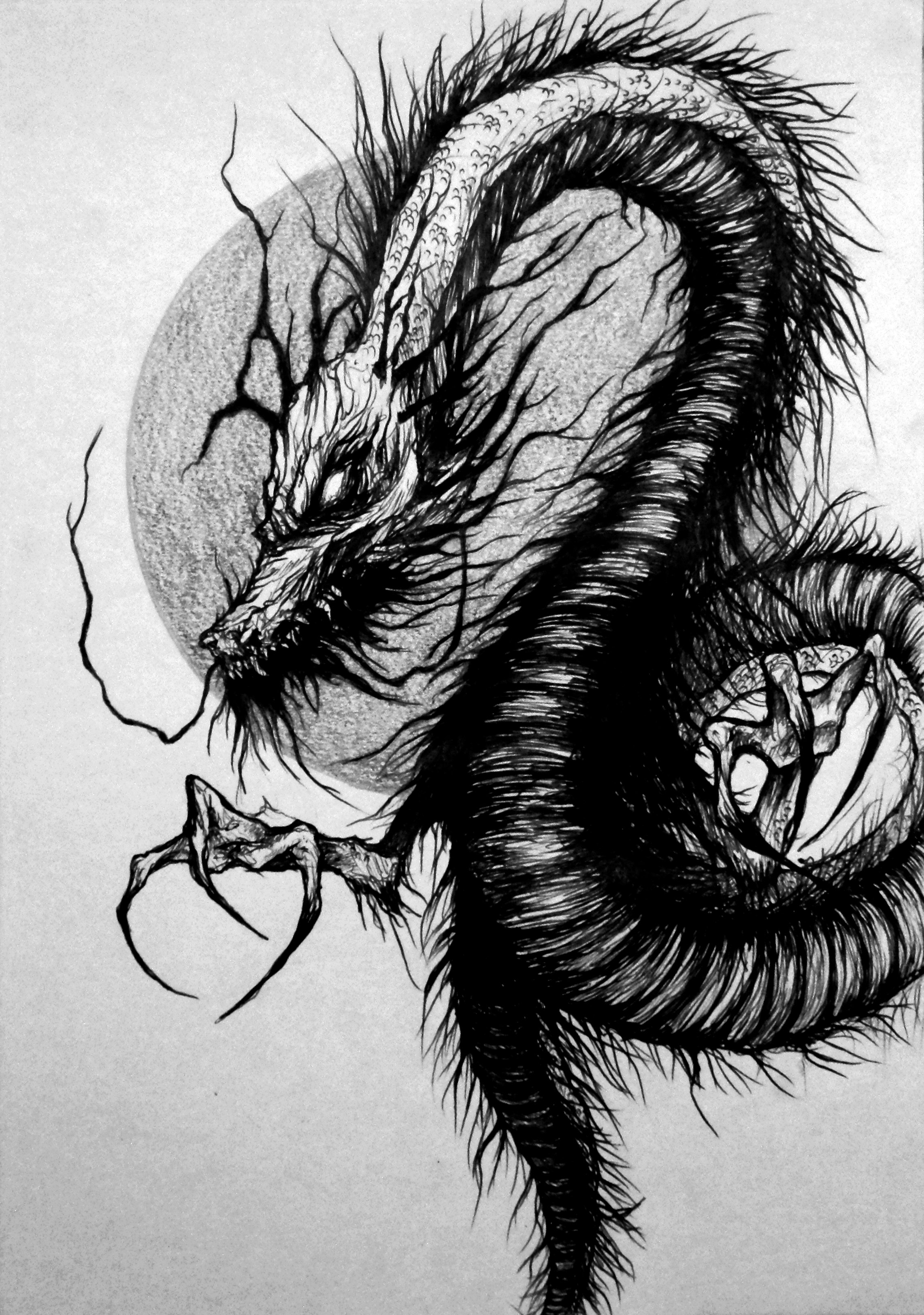 2282x3247 Dragon Ink Drawing Giin Productions - Dragon Ink Drawing