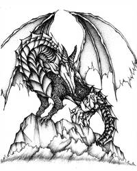 200x250 Dragon Ink Drawing - Dragon Ink Drawing