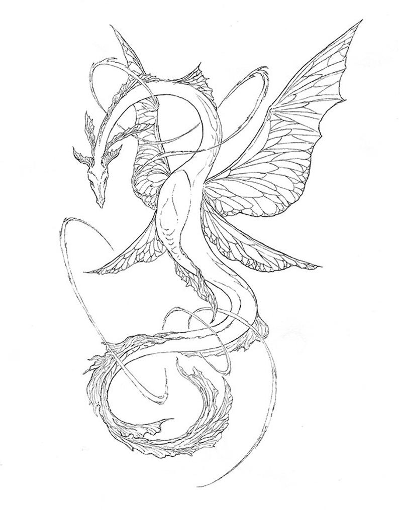 794x1028 Gossamer Dragon Ink Drawing Coloring - Dragon Ink Drawing