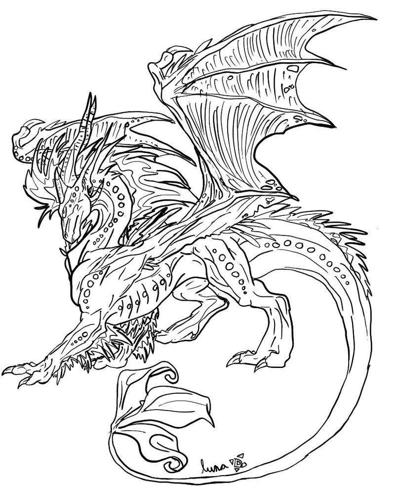 806x992 Dragon Line Art - Dragon Line Drawing