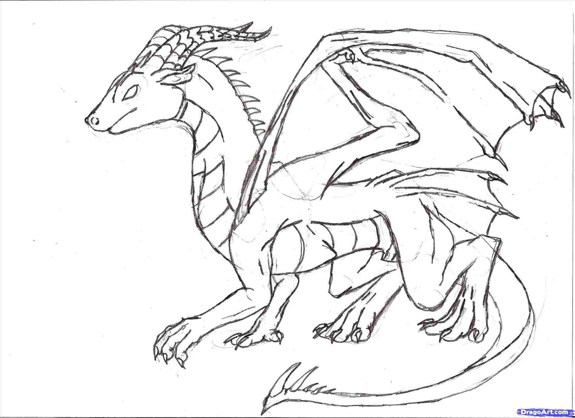 1900x1381 Dragon Simple Dragon Line Drawing Template Head Google Search - Dragon Line Drawing
