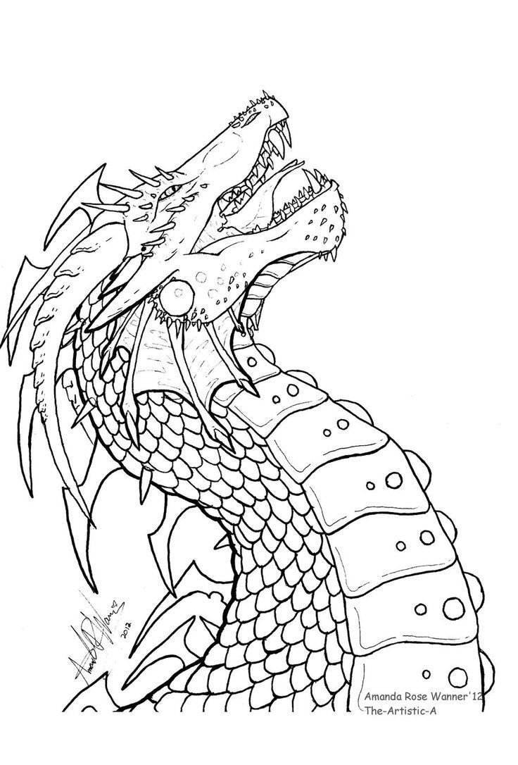 736x1086 Line Art Free Line Art - Dragon Line Drawing