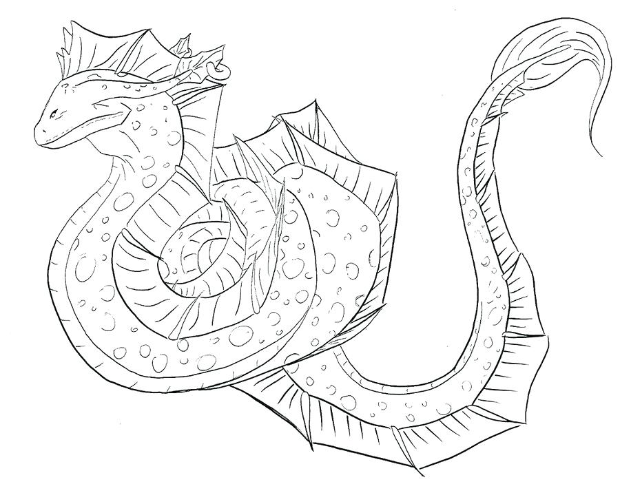 900x703 Dragon Outline Drawing - Dragon Outline Drawing