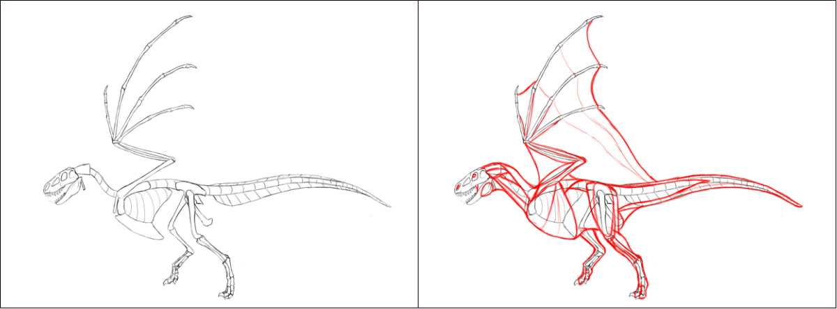 1200x444 How To Draw Dragons Step - Dragon Outline Drawing