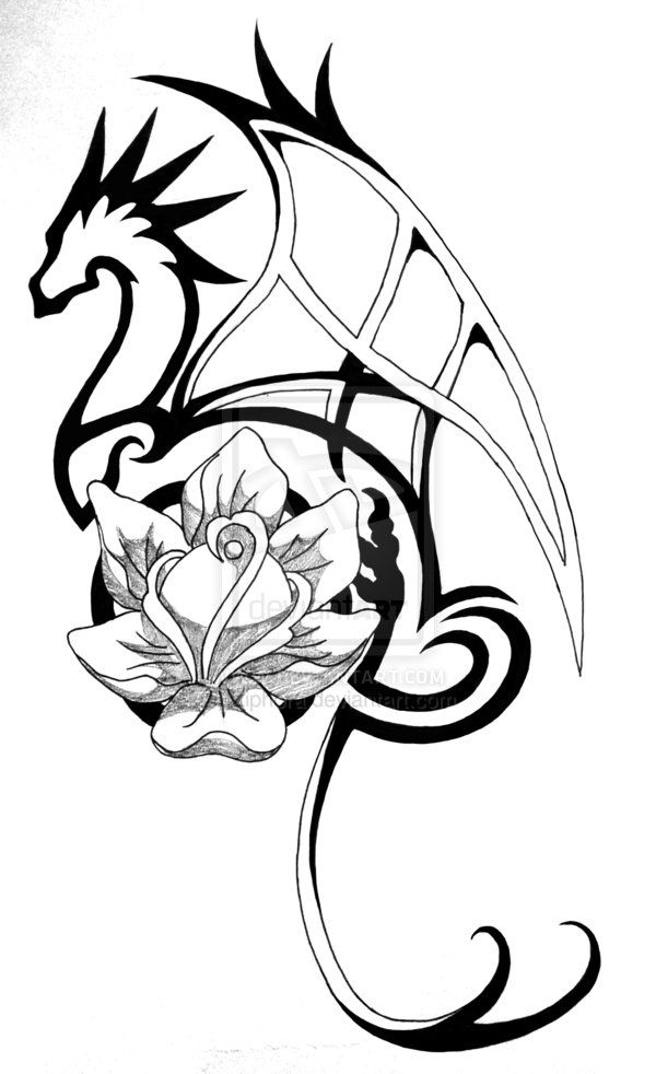 600x982 Dragon Outline Drawing - Dragon Outlines For Drawing