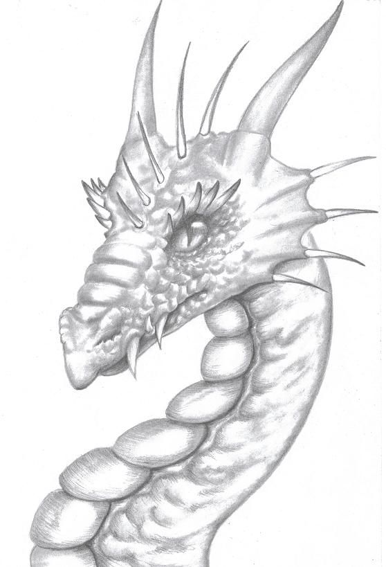 558x819 Dragon Pencil Sketch - Dragon Pencil Drawing