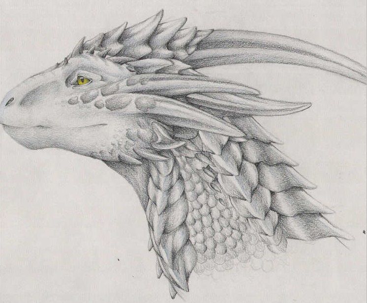 746x617 Hi Guys ! Dragon Pencil Drawing Steemit - Dragon Pencil Drawing