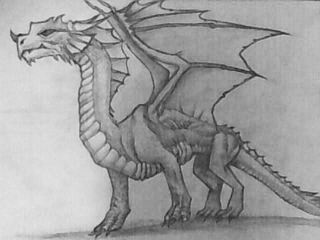 640x480 Showing Dragon Pencil Drawing Practice - Dragon Pencil Drawing