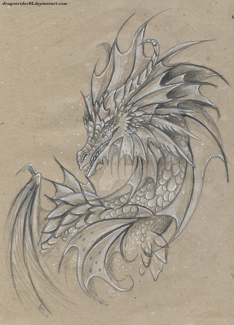 758x1054 Sea Dragon Pencil Drawing - Dragon Pencil Drawing
