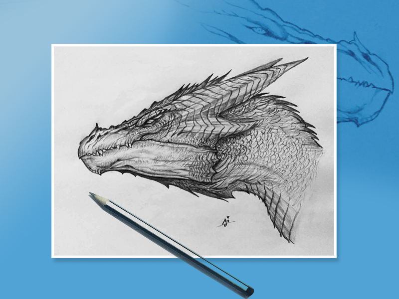 800x600 Dragon - Dragon Pencil Drawing