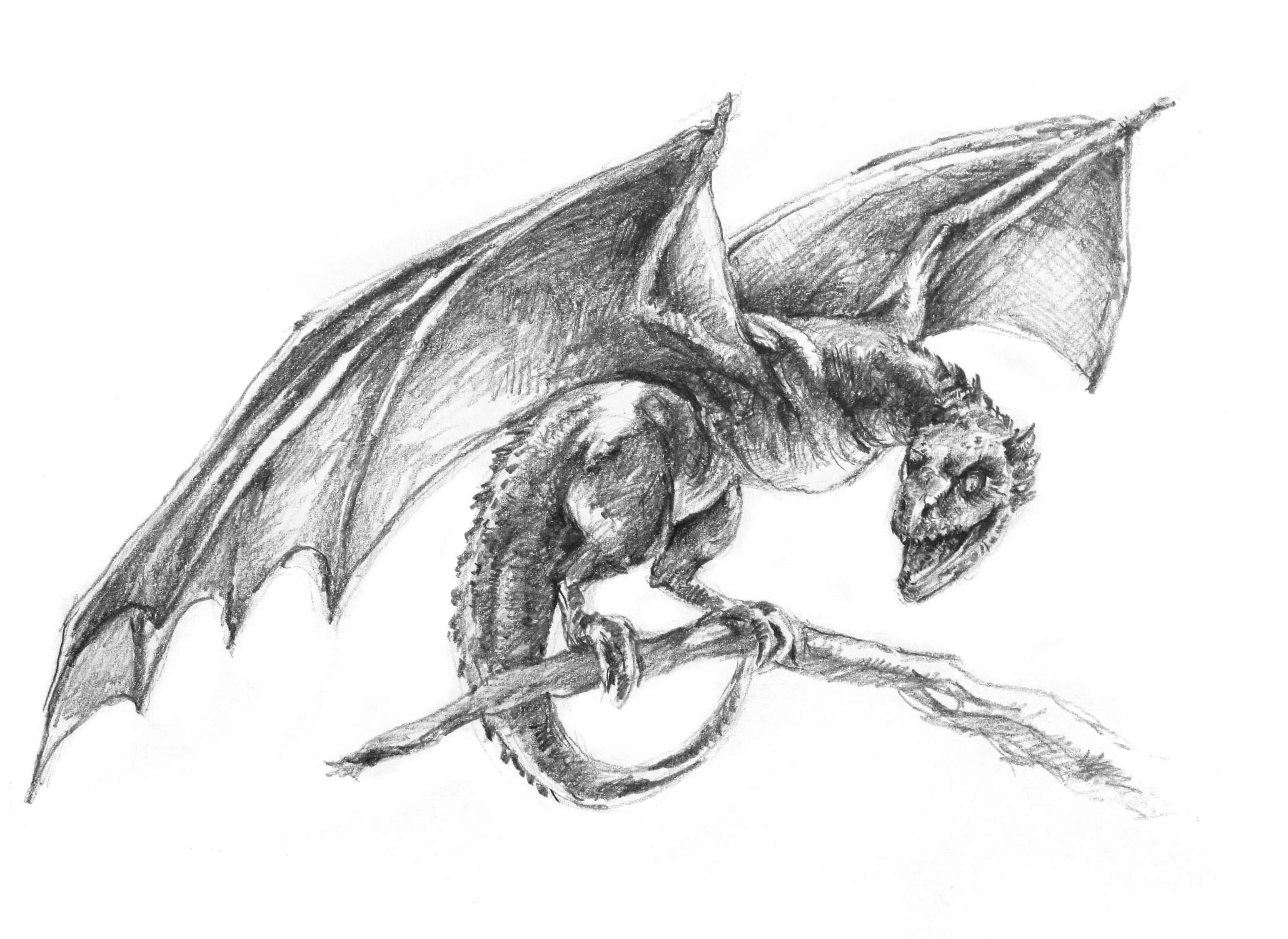 3092x2254 drawings on youtube art of wei - Dragon Pictures Drawing