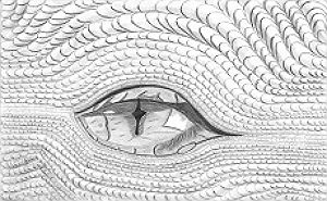 300x185 how to draw dragon scales around eyes connections academy - Dragon Scales Drawing