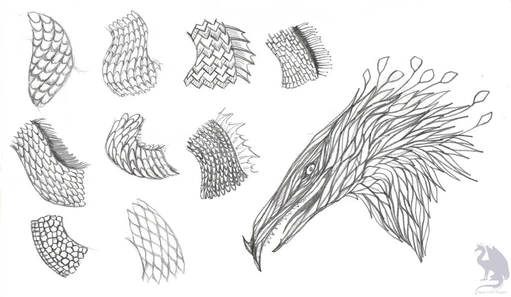 Dragon Scales Drawing at Explore collection of