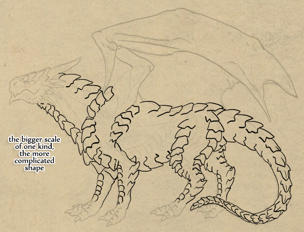 600x458 rawr! how to draw an anatomically correct dragon - Dragon Scales Drawing