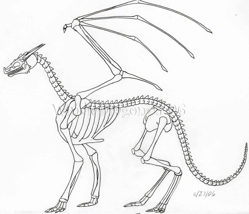 964x829 Dragon Skeleton - Dragon Skeleton Drawing