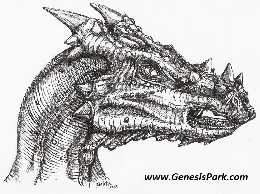 832x620 dragons in history genesis park - Dragon Skeleton Drawing