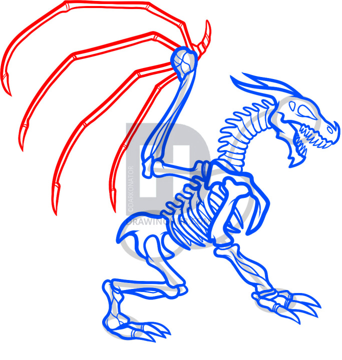 683x720 how to draw a dragon skeleton, dragon skeleton, step - Dragon Skeleton Drawing
