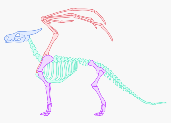 600x434 rawr! how to draw an anatomically correct dragon - Dragon Skeleton Drawing
