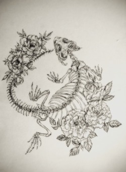 250x343 Skeleton Dragon Tumblr - Dragon Skeleton Drawing