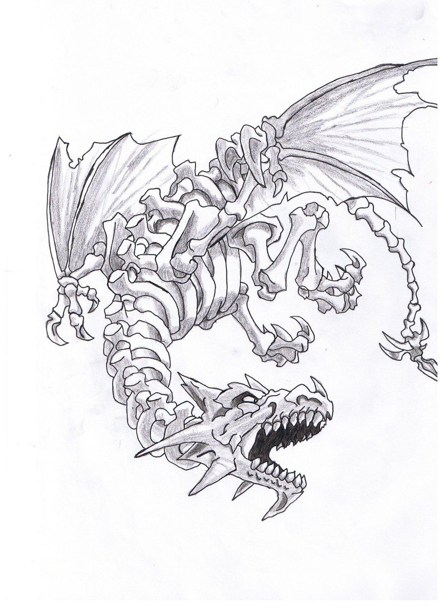 Dragon Skeleton Drawing at Explore collection of