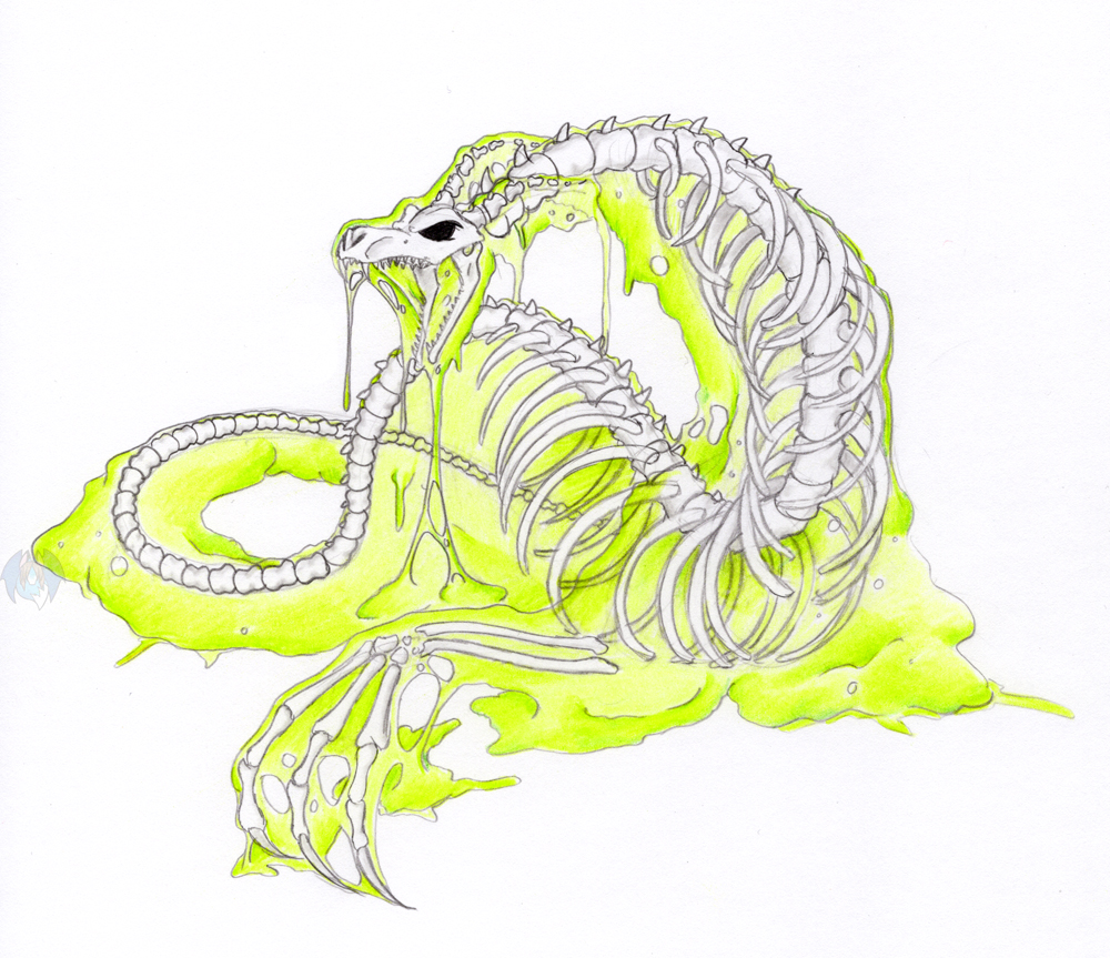 1000x863 Acid Slime Bone Dragon - Dragon Skeleton Drawing